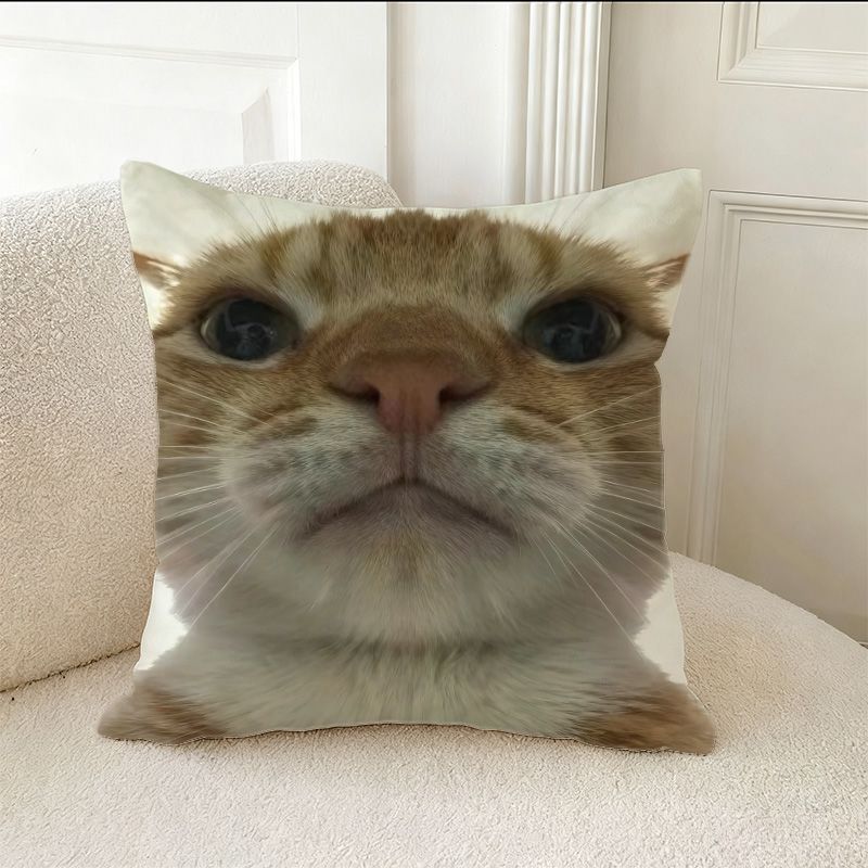 Cute Kitten Print Pillow Funny - đánh giá và giá Home Decor Emoji