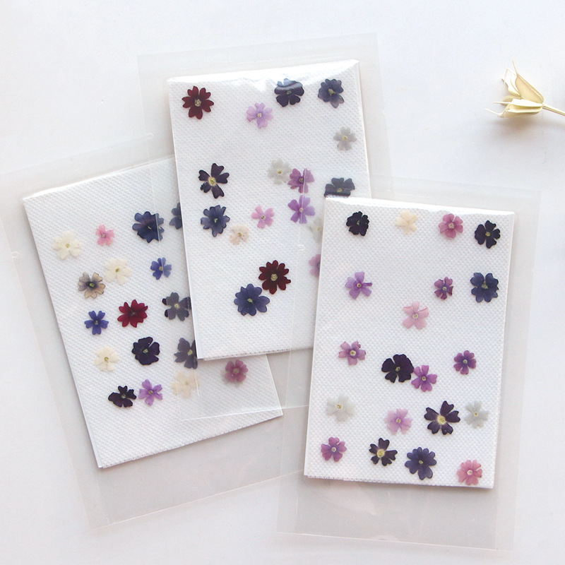 40pcs/lot,Mini Beauty Cherry p - đánh giá và giá Pressed Flower Frame