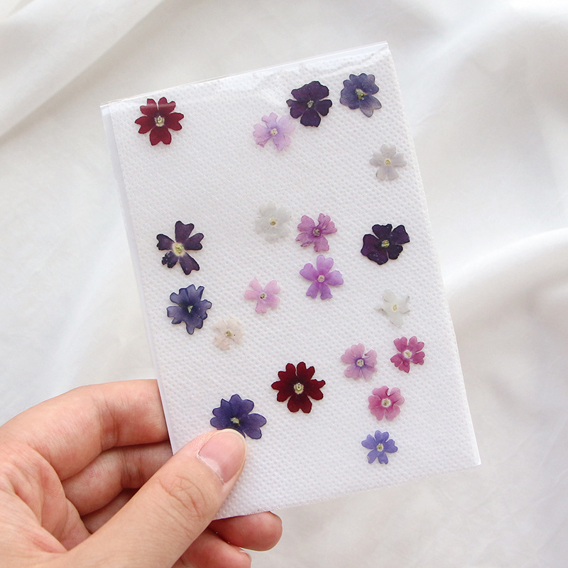 40pcs/lot,Mini Beauty Cherry p - đánh giá và giá Pressed Flower Frame