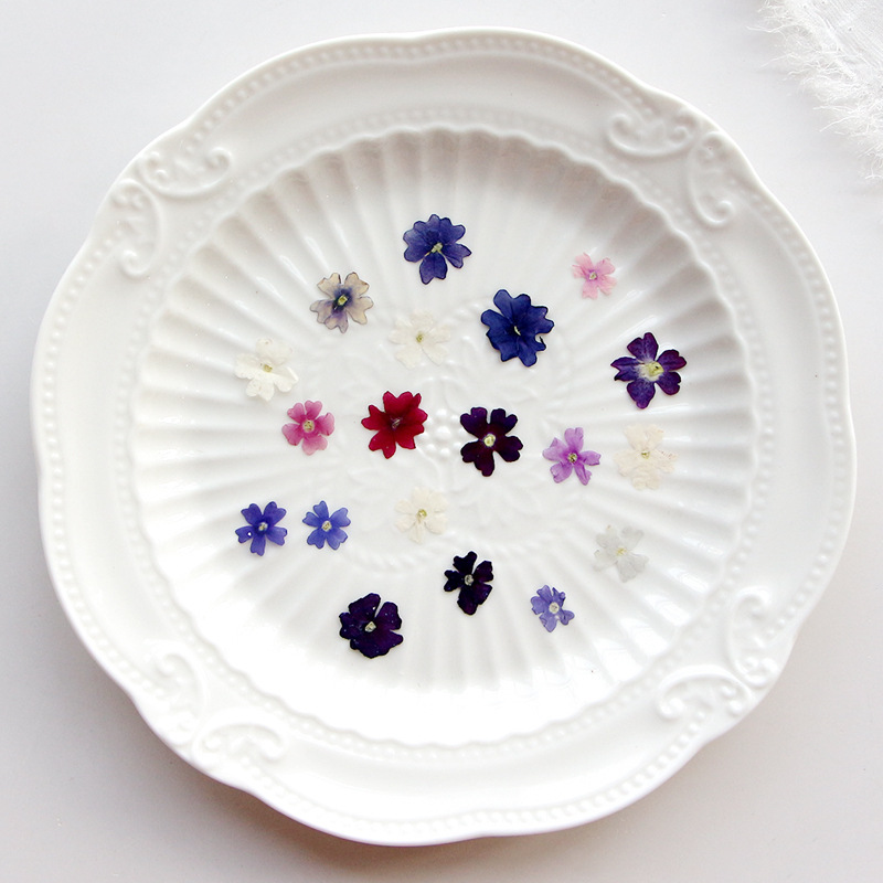 40pcs/lot,Mini Beauty Cherry p - đánh giá và giá Pressed Flower Frame
