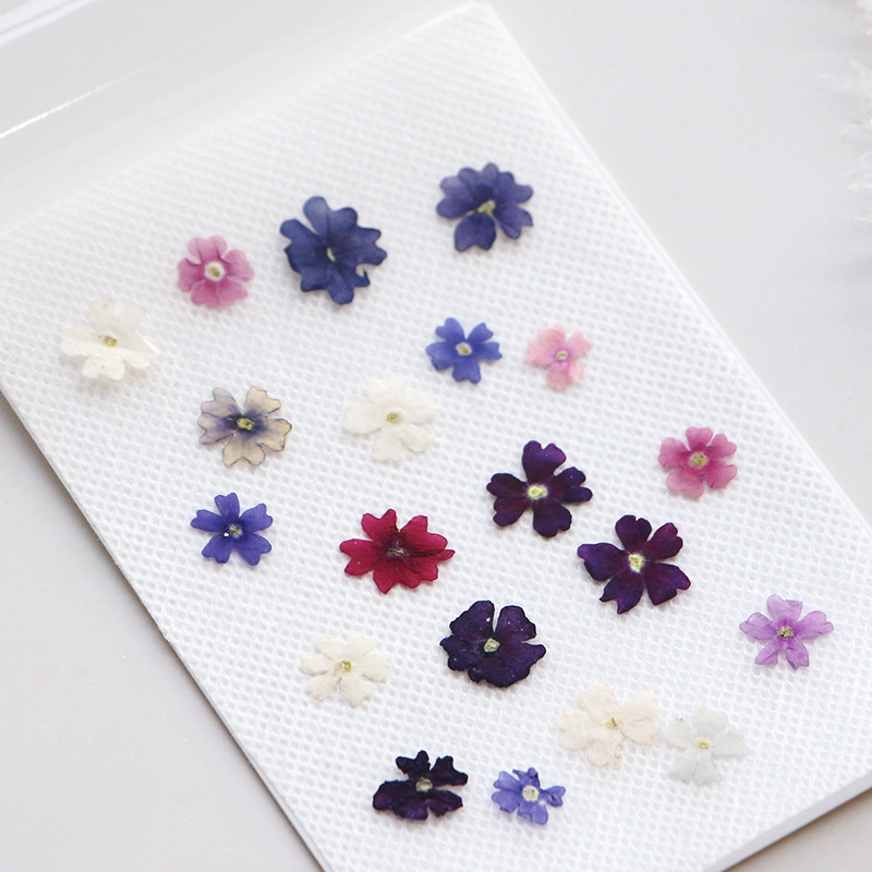 40pcs/lot,Mini Beauty Cherry p - đánh giá và giá Pressed Flower Frame