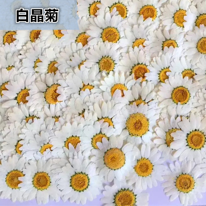 100Pcs Natural White Crystal C - đánh giá và giá Pressed Flower Frame