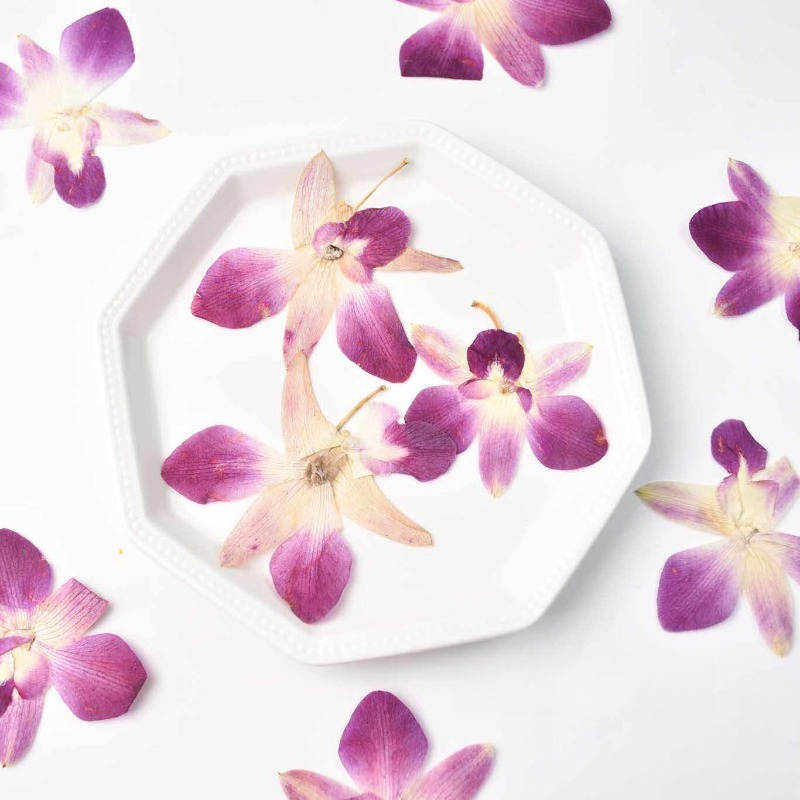 4pcs,Real Pressed Butterfly Or - đánh giá và giá Pressed Flower Frame