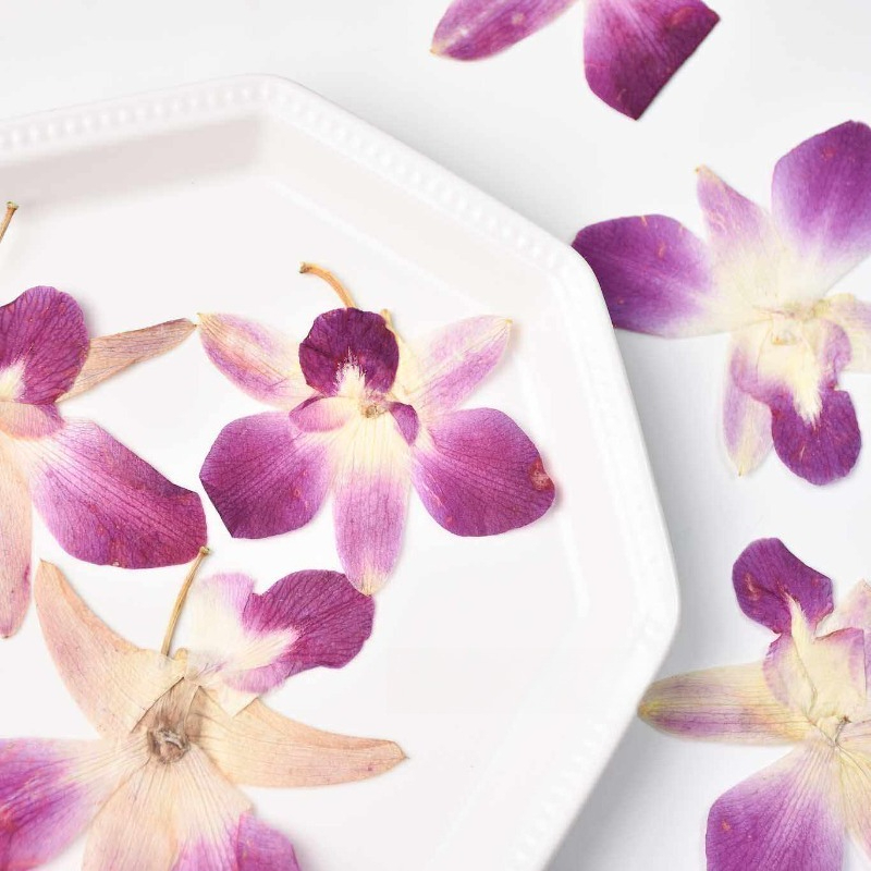 4pcs,Real Pressed Butterfly Or - đánh giá và giá Pressed Flower Frame
