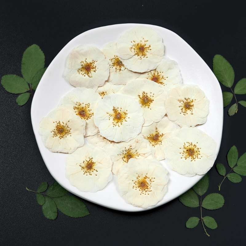 6pcs,9pcs,Nature White Rose Pr - đánh giá và giá Pressed Flower Frame