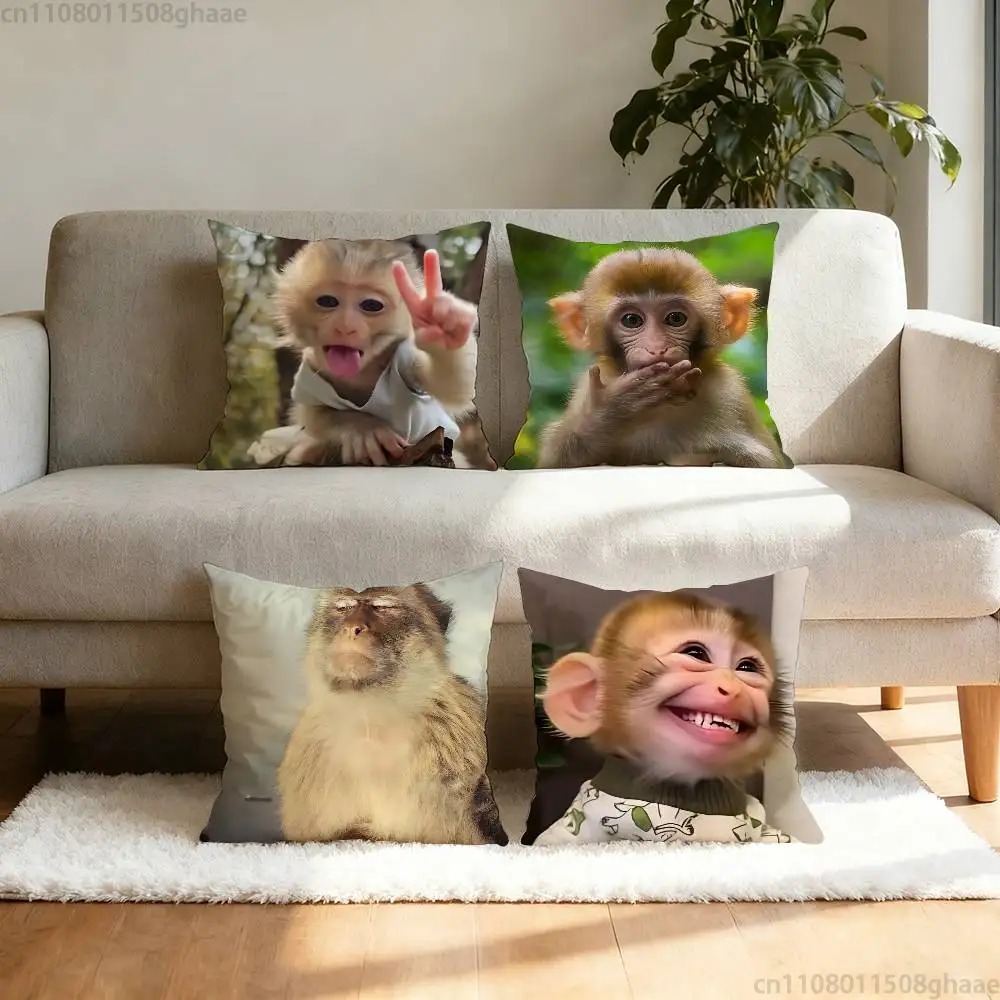 Funny Meme Monkey Cushion Cove - đánh giá và giá Home Decor Emoji