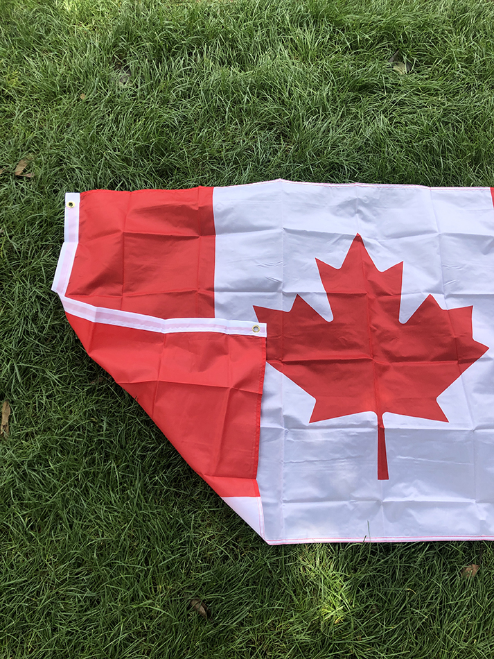 SKY FLAG free shipping great C - đánh giá và giá Home Decor Canada