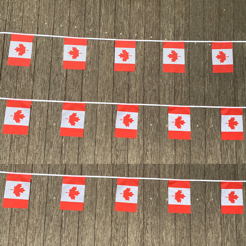 xvggdg   20pcs/set    Canada   - đánh giá và giá Home Decor Canada