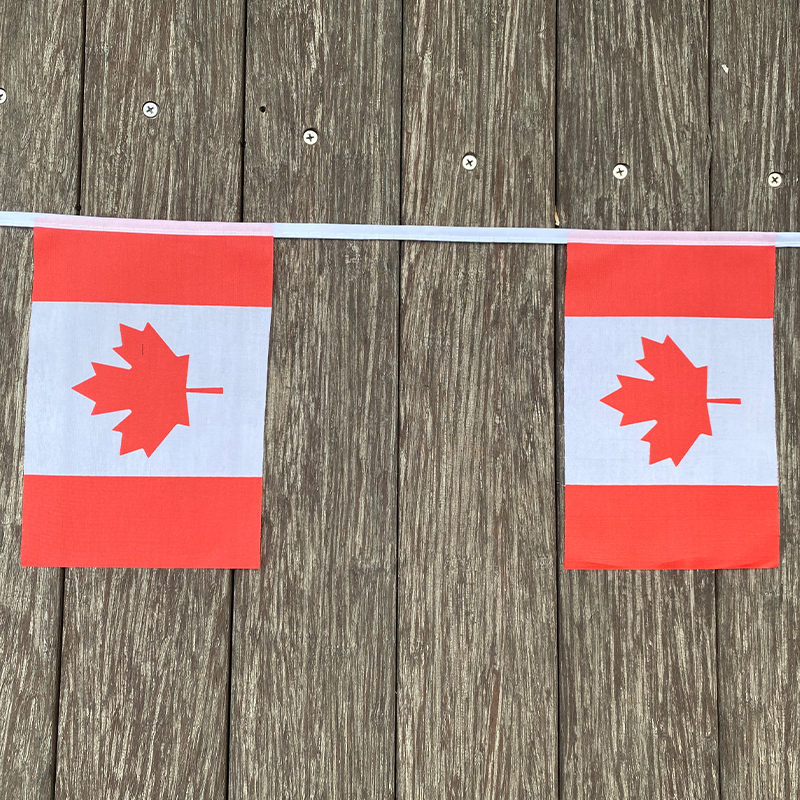 xvggdg   20pcs/set    Canada   - đánh giá và giá Home Decor Canada