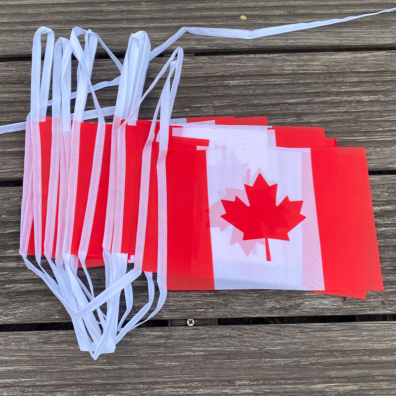 xvggdg   20pcs/set    Canada   - đánh giá và giá Home Decor Canada