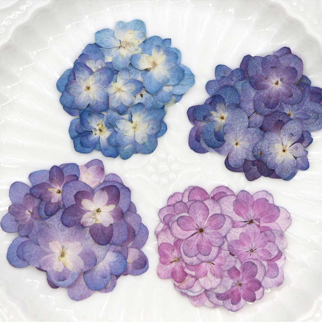 60Pcs Mini Double-Flowered Hyd - đánh giá và giá Pressed Flower Frame