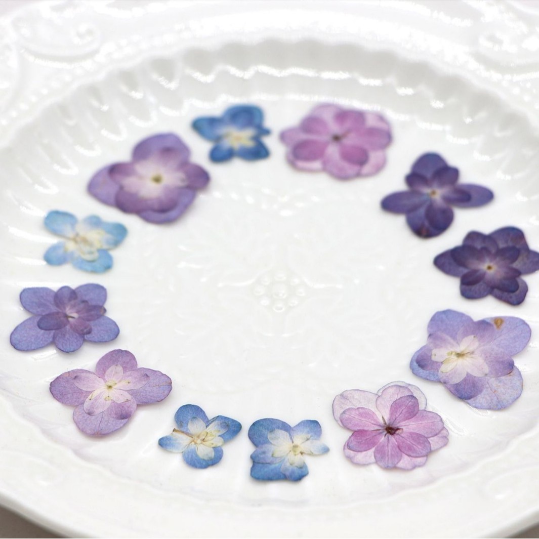 60Pcs Mini Double-Flowered Hyd - đánh giá và giá Pressed Flower Frame
