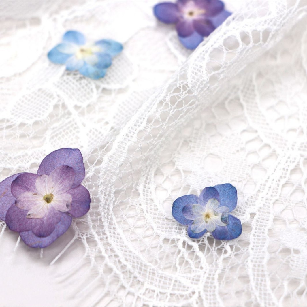 60Pcs Mini Double-Flowered Hyd - đánh giá và giá Pressed Flower Frame