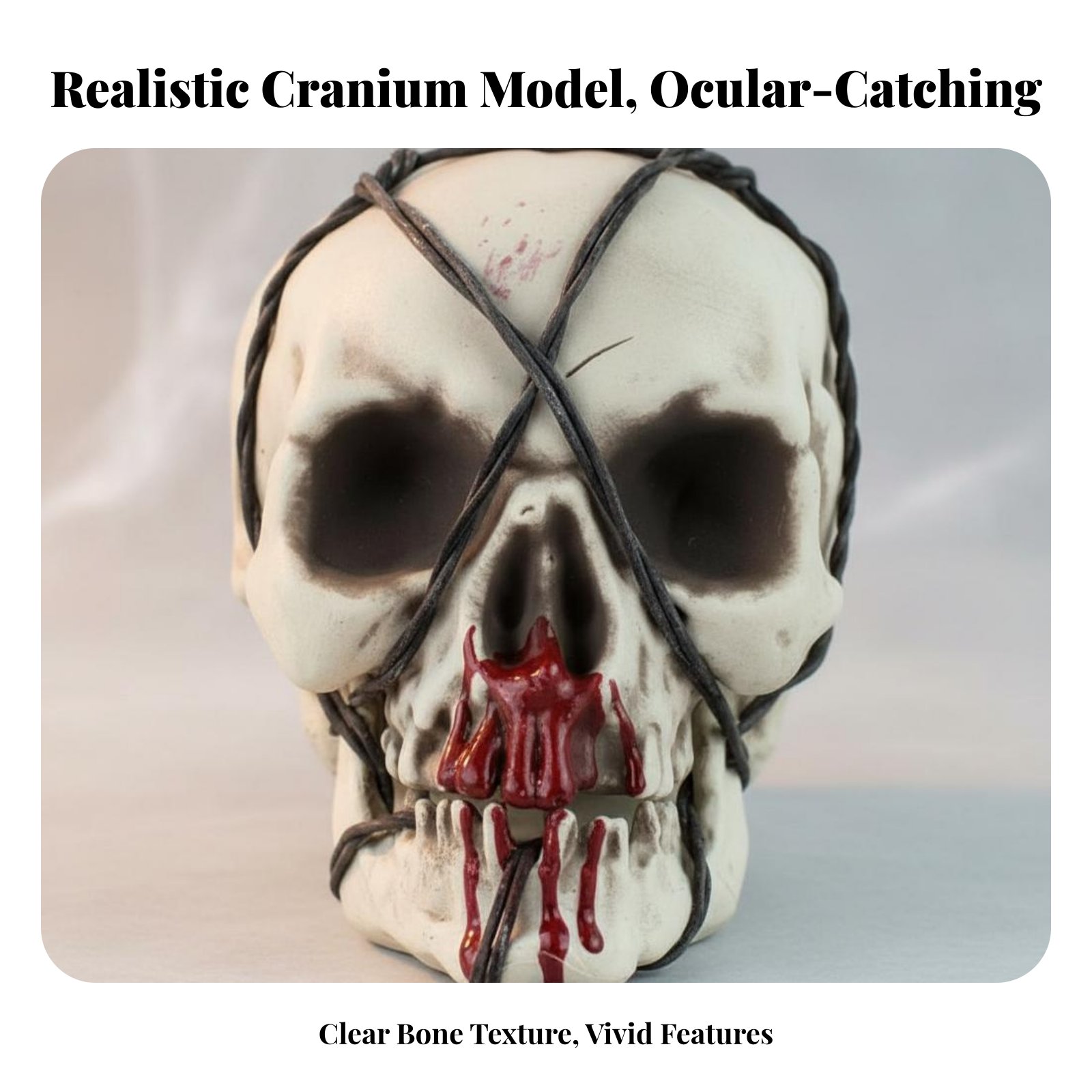 Realistic Skull Model Horror T - đánh giá và giá Home Decoration