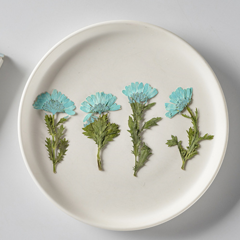 5-8cm/24pcs,Side pressed cryst - đánh giá và giá Pressed Flower Frame